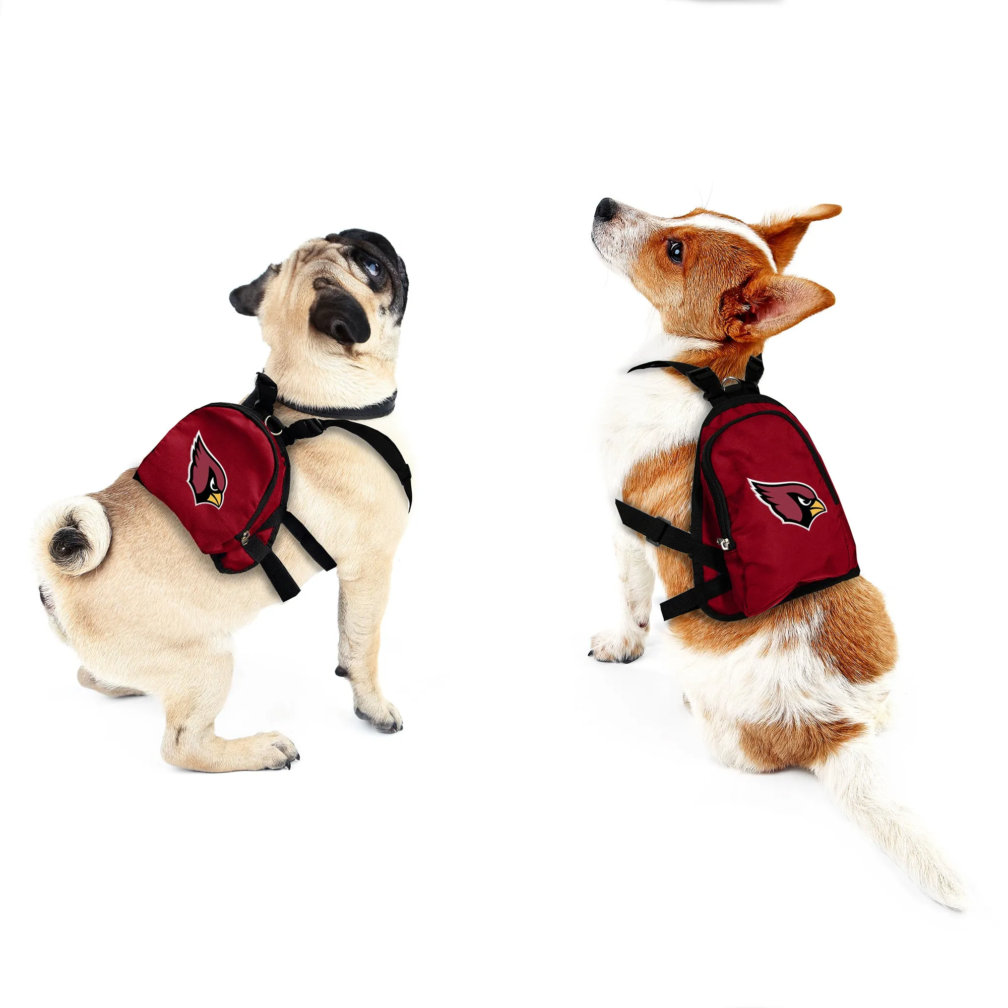 Arizona Cardinals Pet Mini Backpack